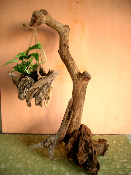 クリックで拡大