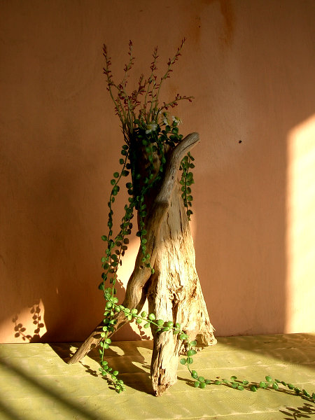 クリックで拡大