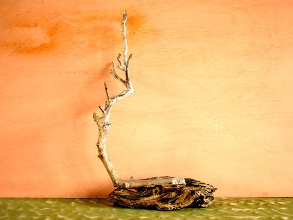 クリックで拡大