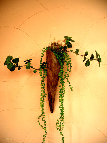 クリックで拡大