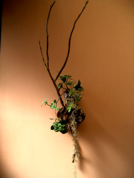 クリックで拡大