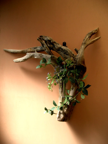 クリックで拡大