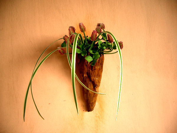 クリックで拡大