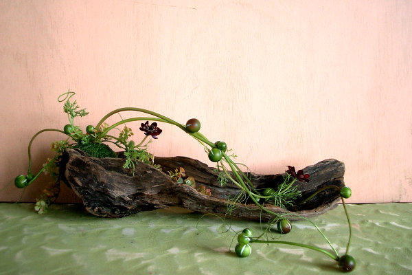 クリックで拡大