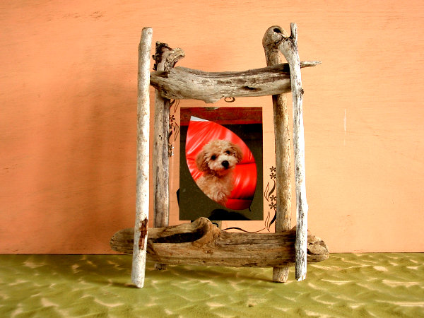 クリックで拡大