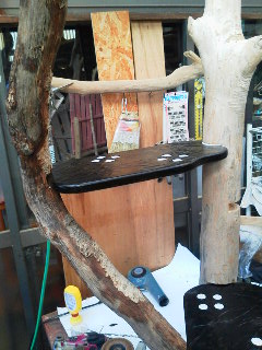 クリックで拡大